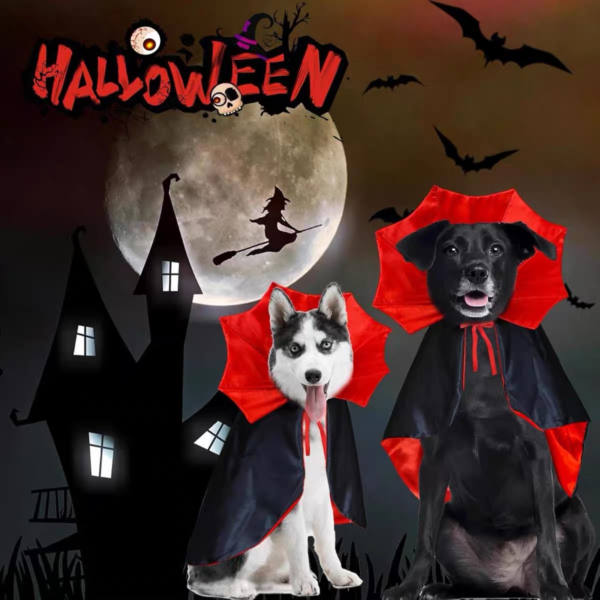 Dog Halloween Costumes 🐕