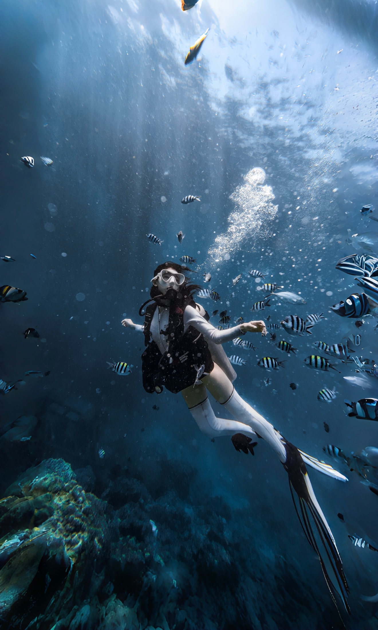 🥽 Dive Ready