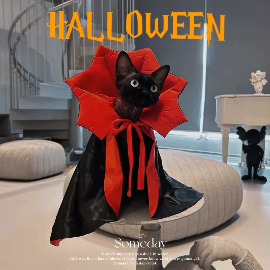 Cat Halloween Costumes 🐈‍⬛